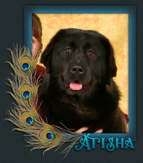 Atisha