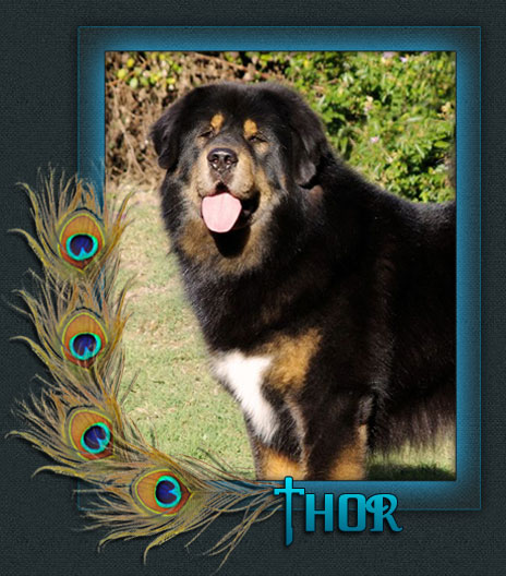 Thor