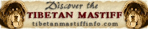 Tibetan Mastiff Info