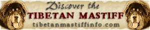Tibetan Mastiff Info